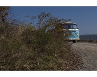 VW Doka Wally