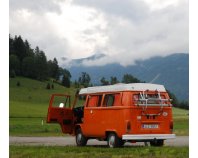 czernochova T2b Westfalia (Lola)
